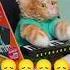Эх игрушка кот играет на пианино