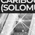 Caribou Climbing Solomun Remix Deep Melodic House Vibes