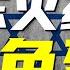 難民被剝皮 閹割 屠殺 慘像直逼猶太集中營 以色列是如何一邊喊冤一邊施暴的 阿Test正經比比