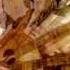 JOSE FELICIANO Bambaleo Studio Version Not Concert