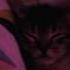 BAMBI SLEEPING