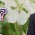 WMU 가진수 교수 예배란 무엇인가
