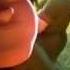 Legends Of Valhalla HD Trailer Animation Film Facebok Tv