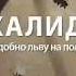 Нашид про героев Ислама 2019 Лучшие нашиды Сподвижники Герои нашей Уммы