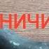 ОХОТНИЧИЙ РОГ КАК ПРОДОЛЖЕНИЕ ТРАДИЦИЙ