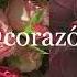 От опухолей Саблиминал Corazón