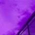 Лилии Slowed