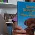 Холли Вебб Щенок Кнопочка или Умная малышка