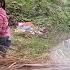 Full Video The Fire Of Hatred Mother In Law Burned Down The House Son Disappeared Ly Tu Linh