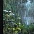 Cozy Night Rain Ambience Relax Sleep Peacefully Rain Sounds