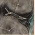 NEEDTOBREATHE Feet Don T Fail Me Now Official Audio