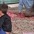 The Landowner S Evil Dealings With Ismail S Family During The Country S War