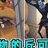 第五人格 购物的丘可 全角色家具交互动作最全合集 包含特殊时装 小砸墨 Identity V