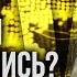 КУРНОСОВА Россияне больше НЕ ВЕДУТСЯ на деньги Регионы увеличивают ВЫПЛАТЫ