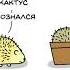 Мем про ёжика