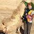 Миша единственный верблюд в Хиве Узбекистан 5 For A Photo With A Camel Misha In Xiva Uzbekistan