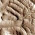 Mars City Found Part 2 Nazca Lines Red Baron UFO ArtAlienTV
