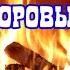 Настрой Г Н СЫТИНА На здоровый сон