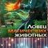 090 Любовное фэнтези Аудиокнига Полная книга