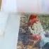 How To Transfer Inkjet Photos To Wood Shorts