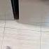 When The Cat Asks To Open The Refrigerator Door For Him