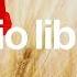 Water Lily The 126ers No Copyright Music