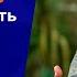 Страдание или радость время выбирать