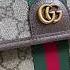 New Gucci Ophidia Series GG Small Belt Bag Brown Pvc Shipment 23 9cmModel 752597
