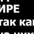 Истории из жизни Чтобы к нашему приезду котов в квартире не было так как у внуков