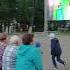 Букет из Белых Роз