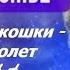 Космические кошки волшебный полет