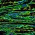 11th May 2020 NEW EFFECT Klasky Csupo In ThoroughlyDestroyedup V3