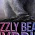 Pizzly Bear Hybrid Genetics Shorts