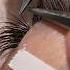 ИДЕАЛЬНЫЕ РЕСНИЦЫ наращиваниересниц ресницыспб Lashes ресницатушь ресницыобучение ресницы