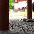 Walking In The Rain In Tokyo Hie Jinja Shrine Rain Walk Rain Sounds Rain Ambience White Noise