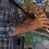 Dolanes Melodies Luiz Lima Sax Cover