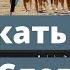 Как Запикать Слова в Premier Pro