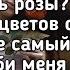 Nikitata Полюби меня сильней Ты не любишь розы окей Lyrics Текст Хит Тик Ток Премьера трека