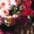 Hayley Westenra I Am A Thousand Winds With Lyrics FLV
