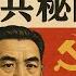 高岗自杀的那一天 被孤立的国家副主席