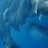 Are Sharks Blind Or Deaf Fastfacts