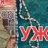 Большая книга УЖАСТИКОВ обзор