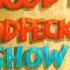 The New Woody Woodpecker Show 1999 2002 All Intro Gags