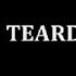 Bring Me The Horizon Teardrops Karaoke