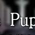 MMD Mary S Puppet Theme Motion Dl