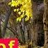 Тирамохи заррин золотая осень Golden Autumn природа таджикистана Nature Of Tajikistan