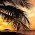 Above Beyond Gareth Emery Presents OceanLab On A Good Day Metropolis HQ