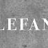 Elefant