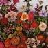 Les Quatre Saisons Op 8 Concerto No 1 In E Major RV 269 Le Printemps Sonnet