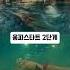 수영 배치기 스타트 탈출 비법 움파스타트 그랩스타트